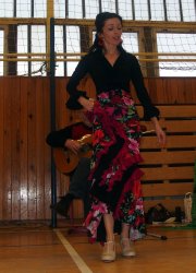 Flamenco všechny zaujalo