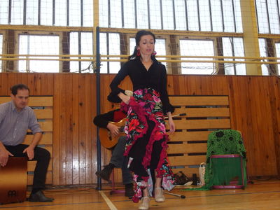 Flamenco se moc líbilo